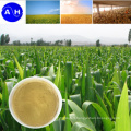 China Plant Source Amino Acid Fertilizer